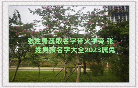 张姓男孩取名字带火字旁 张姓男孩名字大全2023属兔